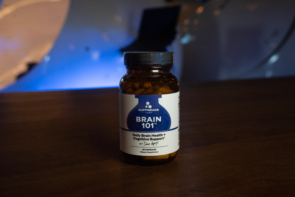 Brain 101